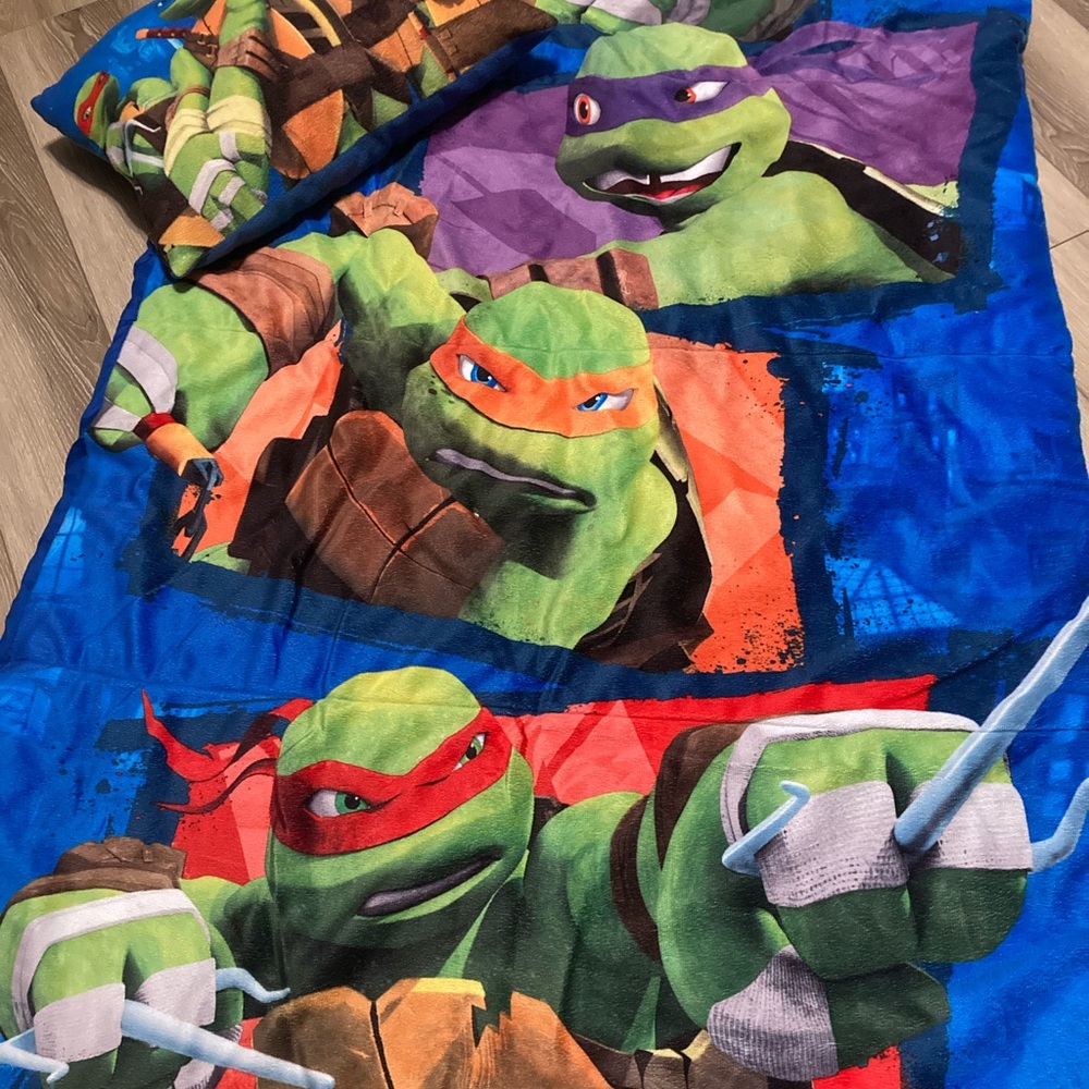 Blue Ninja Turtle Sleeping Bag and Pillow